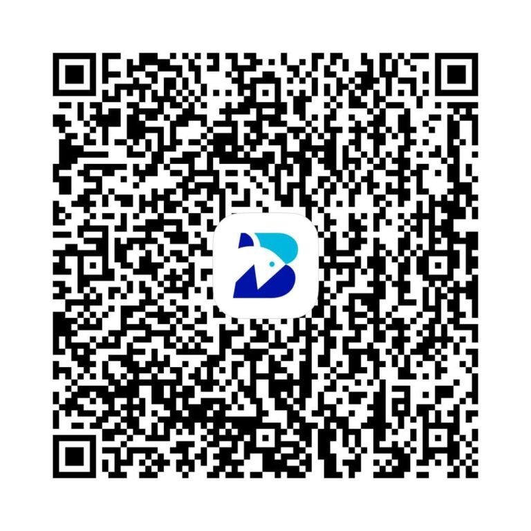 BimPay payment QR code